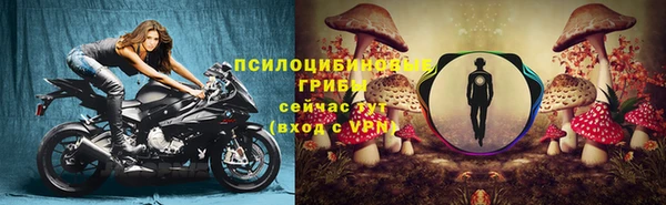 дмт Беломорск