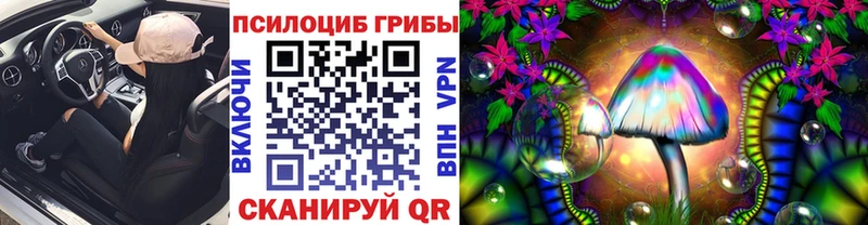 Псилоцибиновые грибы Cubensis Красавино